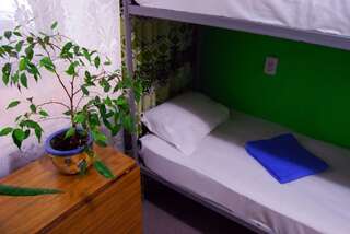 Хостелы Alla House Hostel Киев Кровать в общем 8-местном номере для мужчин и женщин-8